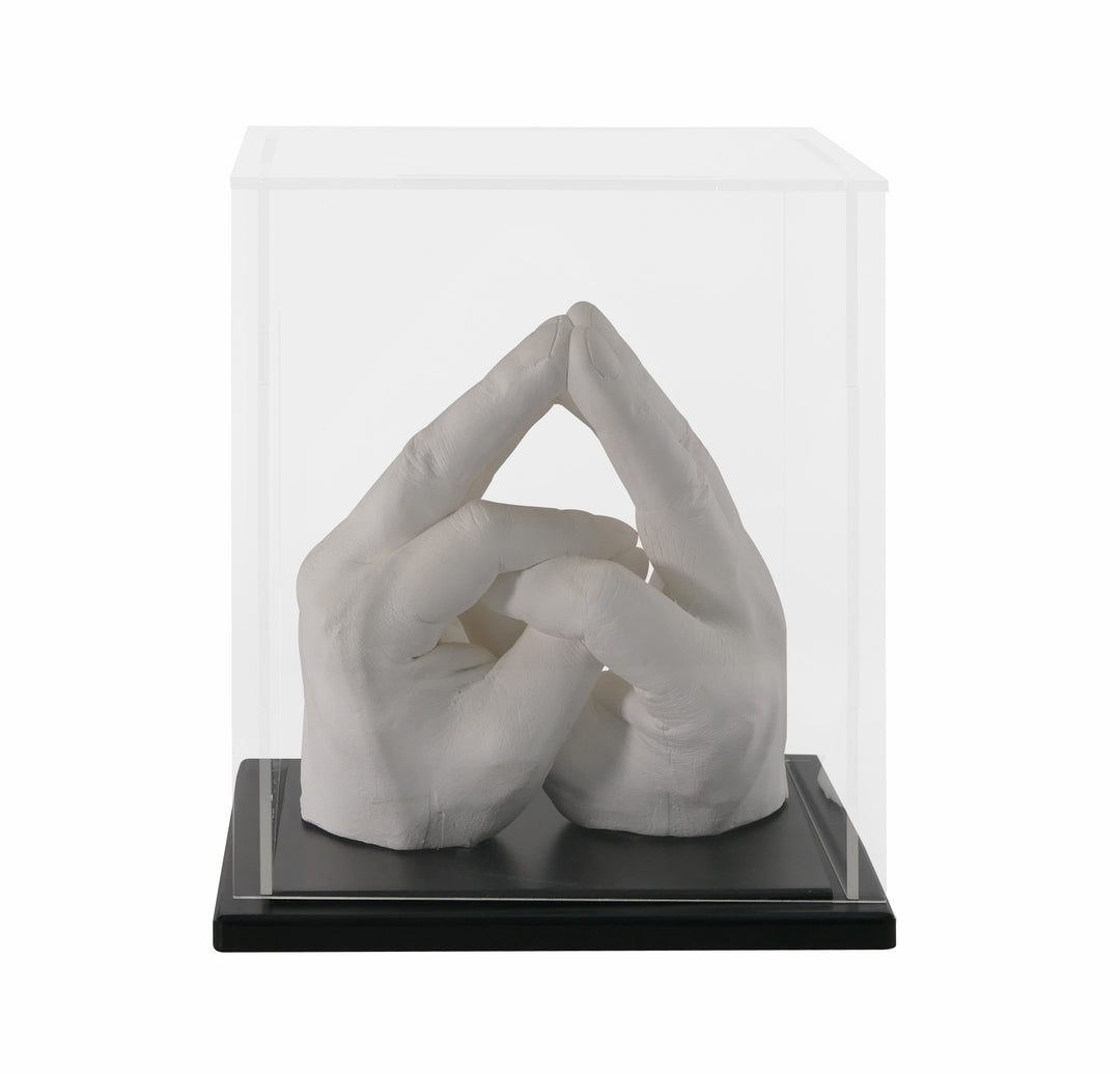 Display Case for Two Hand Kit